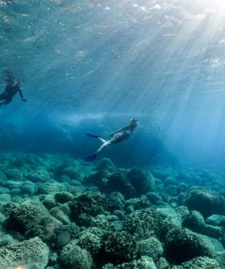 diving-mallorca